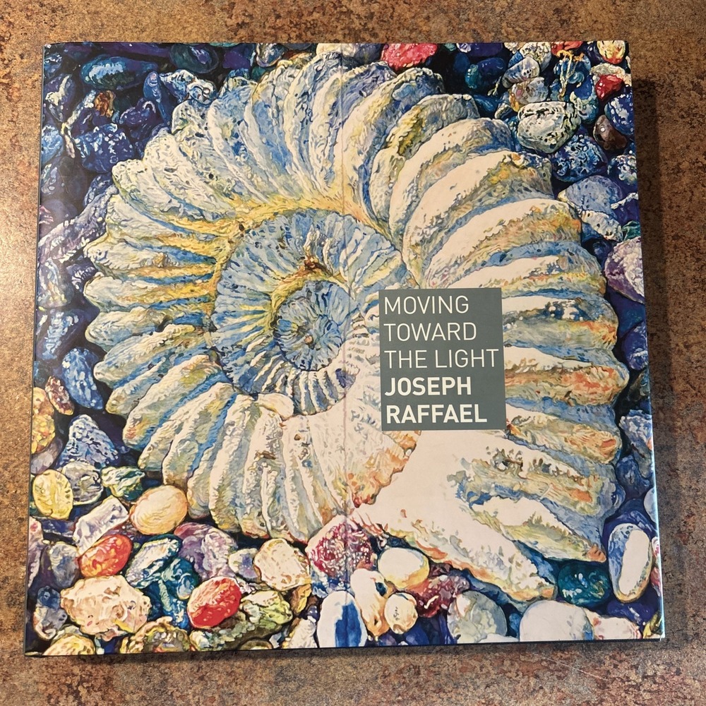 Moving Toward the Light By Joseph Raffael Hardcover Dust Jacket